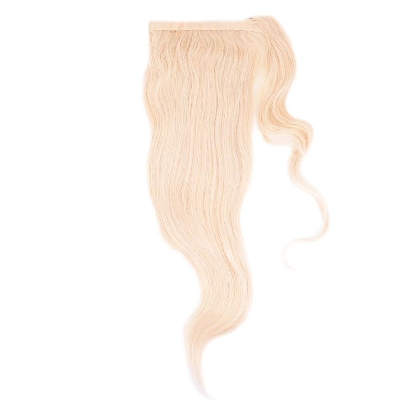 Blonde Ponytail - Nifty Wigs