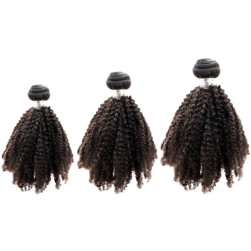 Brazilian Afro Kinky Bundle Deals - Nifty Wigs